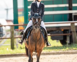 broodmare Beauty S (German Riding Pony, 2007)