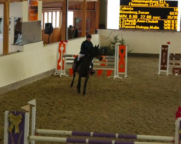 Reitturnier Fleesensee Classic´s 2023