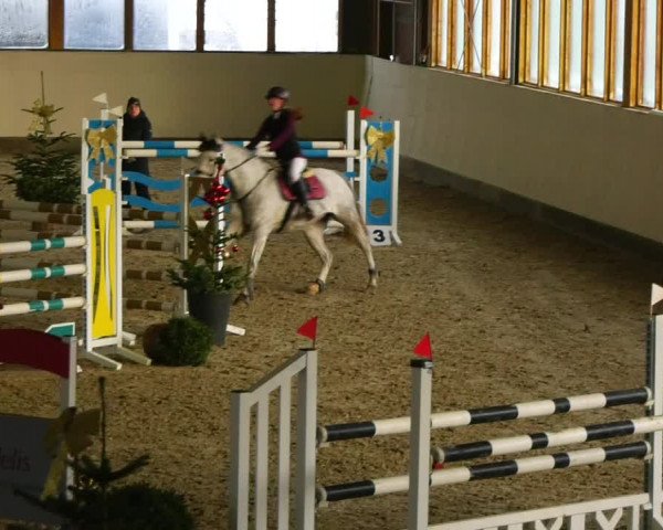 Reitturnier Fleesensee Classic´s 2023