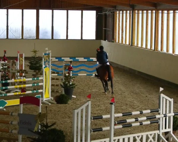 Reitturnier Fleesensee Classic´s 2023