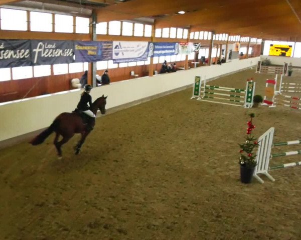 Reitturnier Fleesensee Classic´s 2023