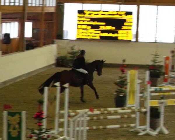 Reitturnier Fleesensee Classic´s 2023