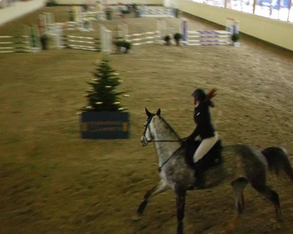 Reitturnier Fleesensee Classic´s 2023