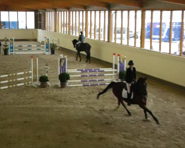 Reitturnier Fleesensee Classic´s 2023
