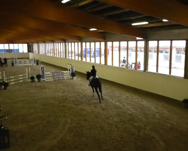 Reitturnier Fleesensee Classic´s 2023
