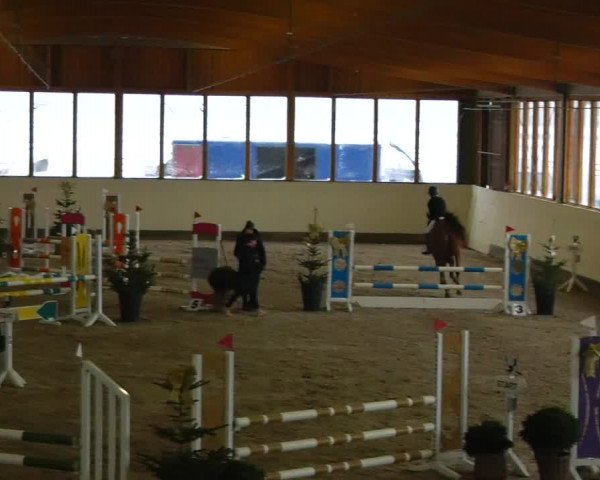 Reitturnier Fleesensee Classic´s 2023