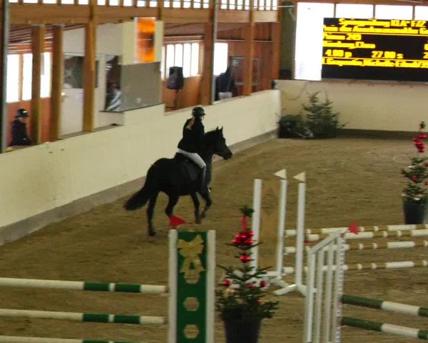 Reitturnier Fleesensee Classic´s 2023