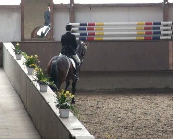Alt Marl 2011