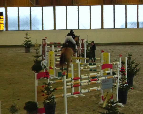 Reitturnier Fleesensee Classic´s 2023