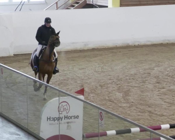 Reitturnier Stadl-Paura 2023