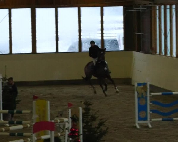 Reitturnier Fleesensee Classic´s 2023