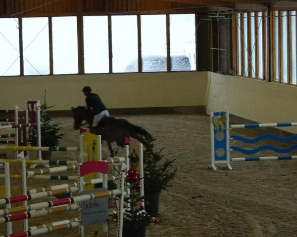 Reitturnier Fleesensee Classic´s 2023