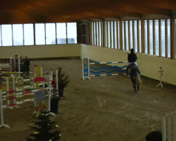 Reitturnier Fleesensee Classic´s 2023