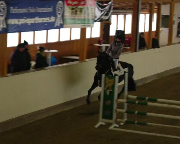 Reitturnier Fleesensee Classic´s 2023