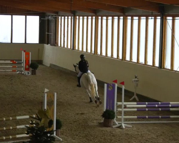 Reitturnier Fleesensee Classic´s 2023