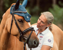 broodmare Dimension's Grazy Girl (German Riding Pony, 2017, from Dimension AT NRW)
