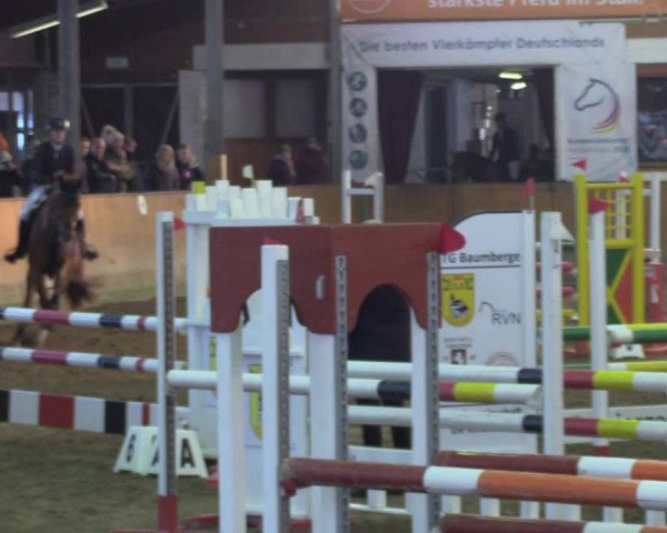 Reitturnier Appelhülsen 2023