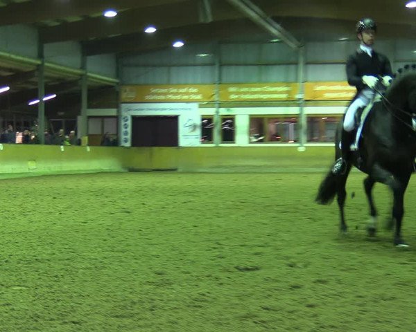 Reitturnier Appelhülsen 2023