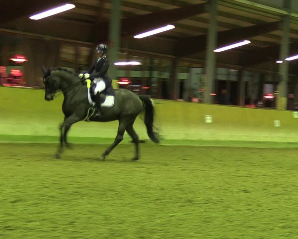 Reitturnier Appelhülsen 2023
