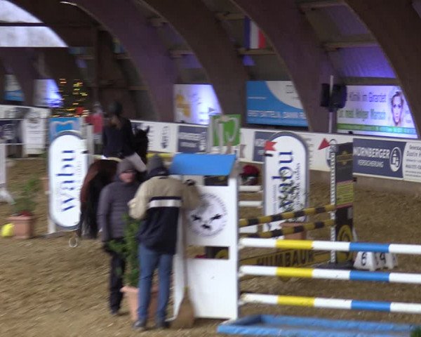 Reitturnier Essen-Stadtwald 2023