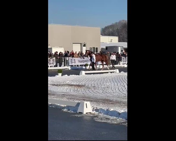 Video of Camar Bahrain