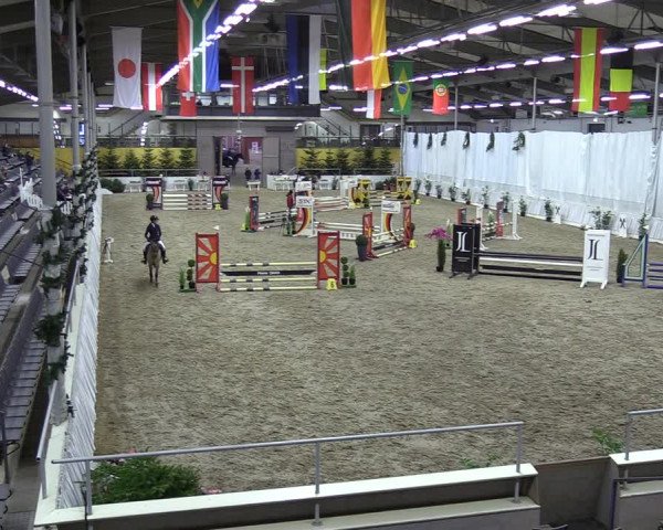 Reitturnier Verden 2023