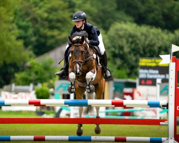 jumper Sandokan 327 (Lewitzer, 2007, from Shawan) jumper Sandokan 327 (Lewitzer, 2007, from Shawan)