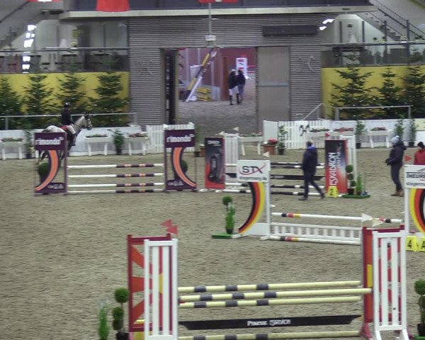 Reitturnier Verden 2023