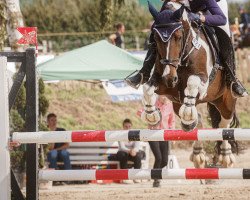 jumper Apachie Princess (Irish Sport Horse, 2012)