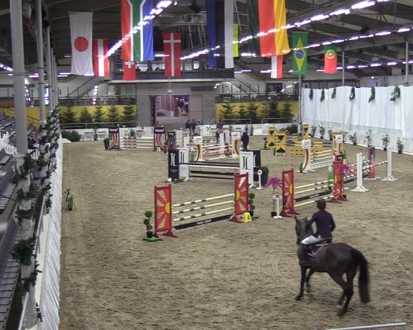 Reitturnier Verden 2023