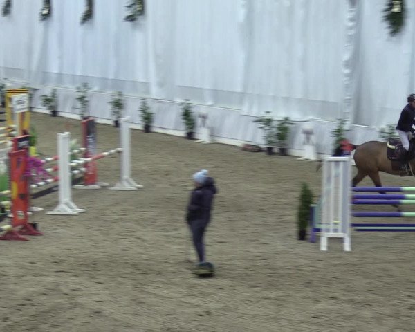 Reitturnier Verden 2023