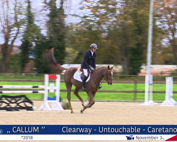 Video of Callum 3