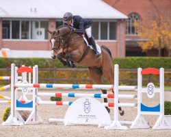 jumper Lakeside (Holsteiner, 2019, from Larimar)