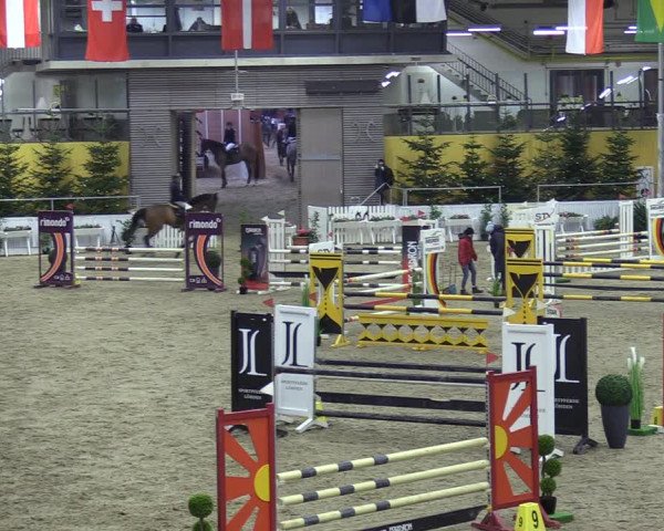 Reitturnier Verden 2023
