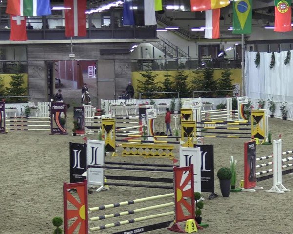 Reitturnier Verden 2023