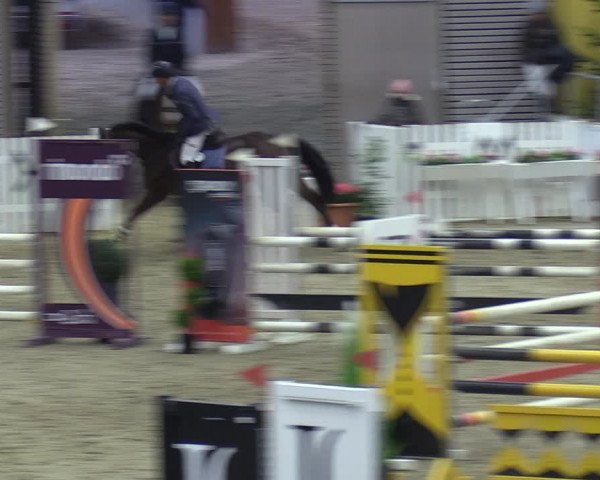 Reitturnier Verden 2023