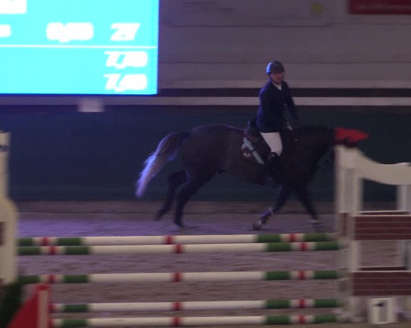 Reitturnier Salzwedel 2023