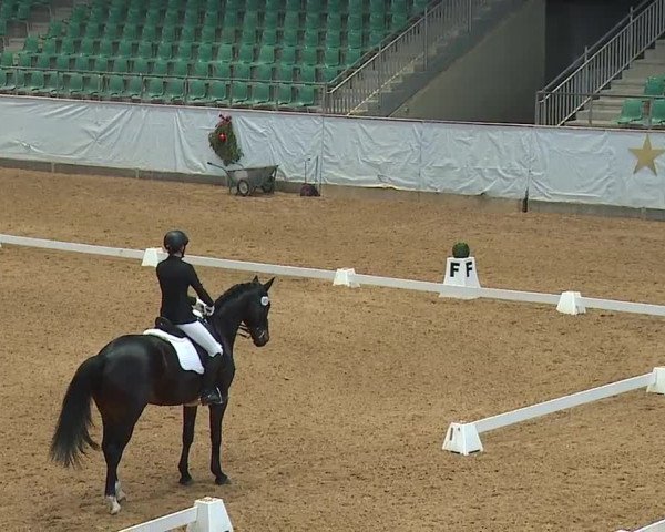 Reitturnier Kreuth/Opf. 2023