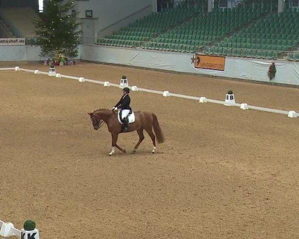 Reitturnier Kreuth/Opf. 2023