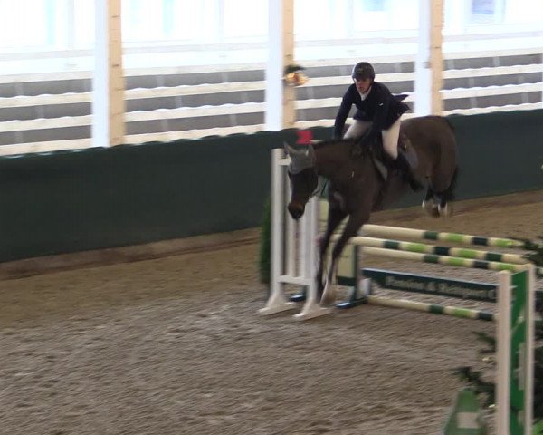 Reitturnier Salzwedel 2023