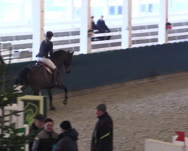 Reitturnier Salzwedel 2023