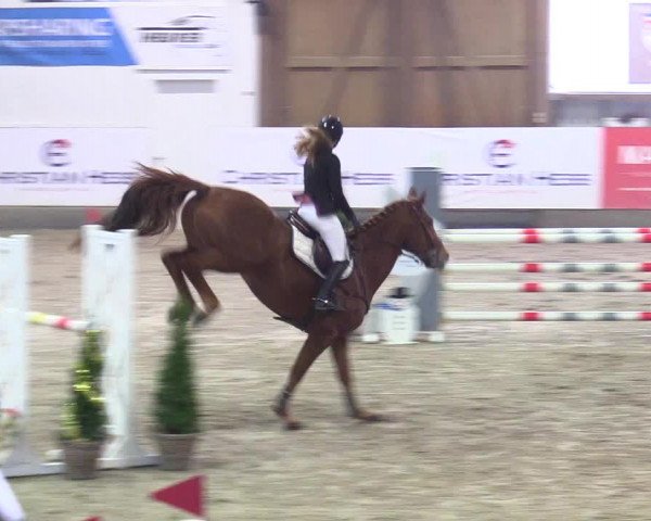 3. Nordic Jumping event Negernbötel 2023