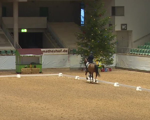 Reitturnier Kreuth/Opf. 2023