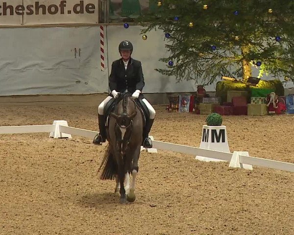 Reitturnier Kreuth/Opf. 2023
