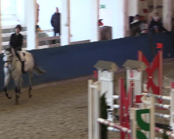 Reitturnier Salzwedel 2023