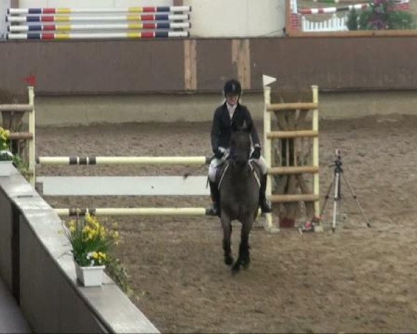 Alt Marl 2011
