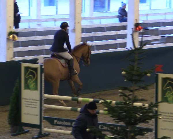 Reitturnier Salzwedel 2023