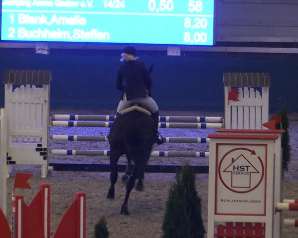 Reitturnier Salzwedel 2023