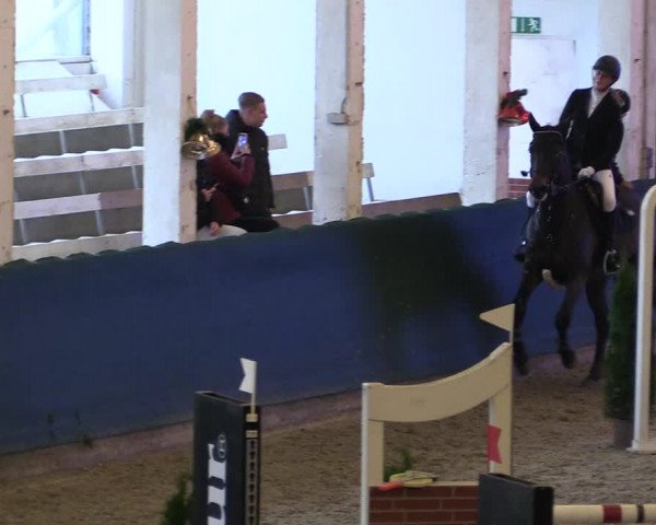 Reitturnier Salzwedel 2023