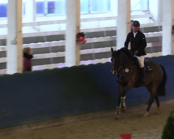 Reitturnier Salzwedel 2023